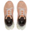 Cloudflyer 4 ”Persika Aloe Vera”