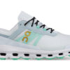 Cloudvista CN ”Frost Parakeet”