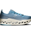 Herr Cloudsurfer Max Herr Cloudsurfer Max