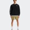 Herr Focus Shorts